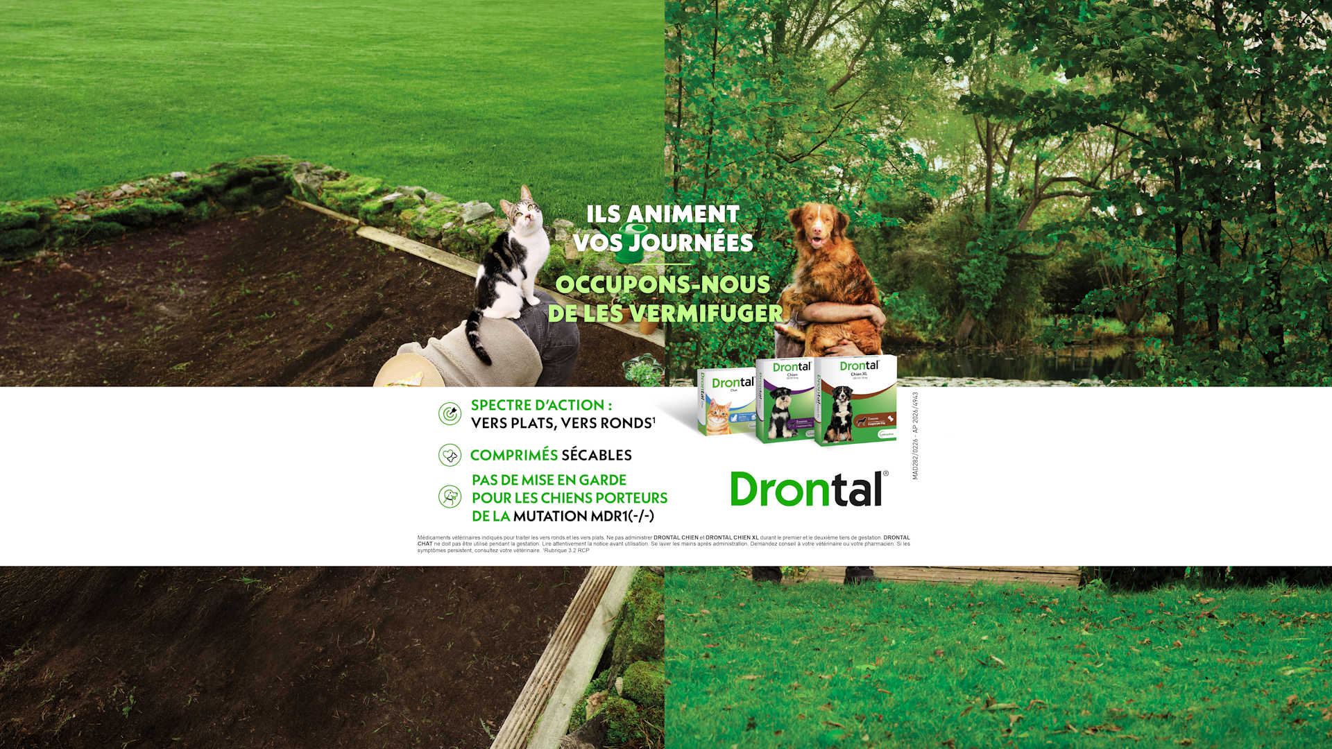 banniere Drontal vetoquinol 2026